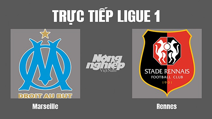 Trực tiếp bóng đá Ligue 1 (VĐQG Pháp) 2022/23 giữa Marseille vs Rennes hôm nay 18/9/2022