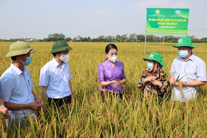 Ngày càng có nhiều địa phương hợp tác với Quế Lâm phát triển nông nghiệp hữu cơ. Ảnh: Huy Bình.