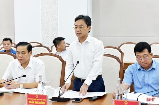 Ông Trần Thế Dũng, Phó Bí thư Thường trực Tỉnh ủy Hà Tĩnh, phát biểu tại buổi làm việc.
