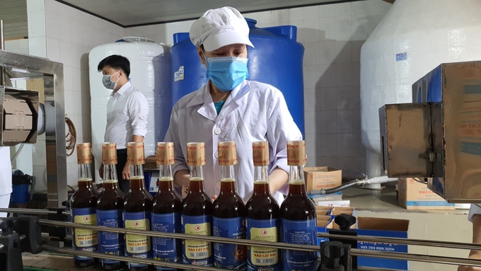 Cat Hai traditional fish sauce products are invested with modern technology to serve export.