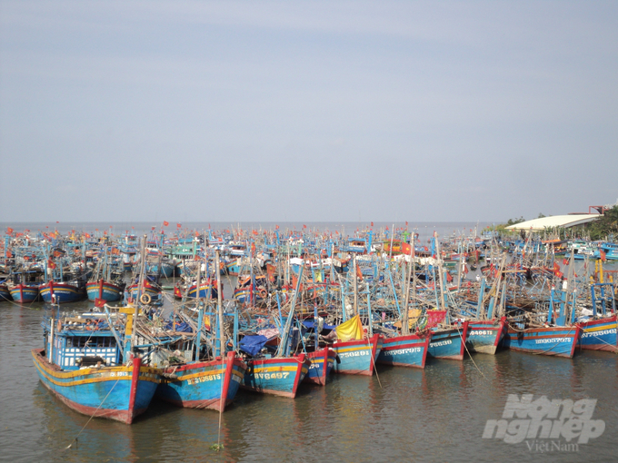 Kiên Giang đã tổ chức, sắp xếp lại tàu khai thác theo hướng giảm đội tàu, hỗ trợ chuyển đổi tàu công suất nhỏ sang tàu công suất lớn, giảm áp lực khai thác vùng biển ven bờ để bảo vệ nguồn lợi thủy sản. Ảnh: Trung Chánh.