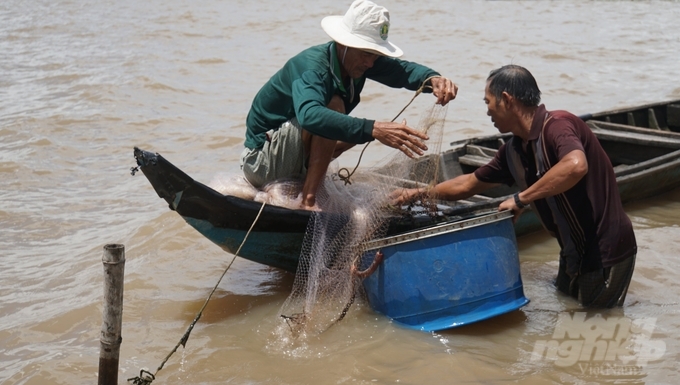 Đa dạng hóa sinh kế là chìa khóa thích ứng biến đổi khí hậu tại ĐBSCL. Ảnh: Hoàng Vũ.