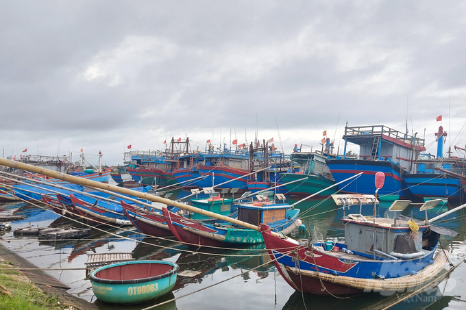 100% tàu thuyền của ngư dân tỉnh Quảng Trị đã nhận được thông tin về bão Noru; đa phần đã neo đậu an toàn. Ảnh: Võ Dũng.