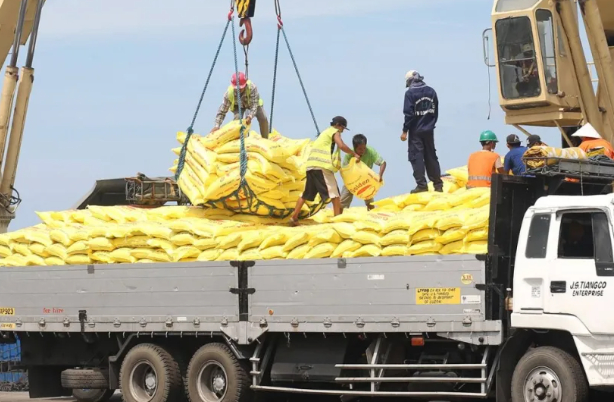Trong diễn biến mới nhất, hôm qua (24/9), nhiều tổ chức nông dân ở Philippines tiếp tục kêu gọi chính phủ ngừng nhập khẩu gạo để bảo vệ nông dân trồng lúa trong nước. Theo dữ liệu của Bộ Nông nghiệp Philippines, đã có ít nhất 930.000 tấn, 950.000 tấn và 640.000 tấn gạo lần lượt được nhập khẩu trong ba quý vừa qua. Ảnh: Manilatimes
