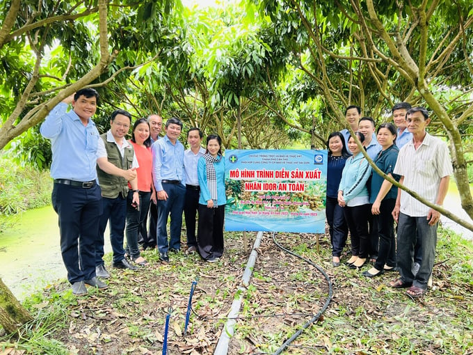 Mô hình sản xuất nhã Idor an toàn tại huyện Phong Điền, TP Cần Thơ. Ảnh: Trọng Linh.