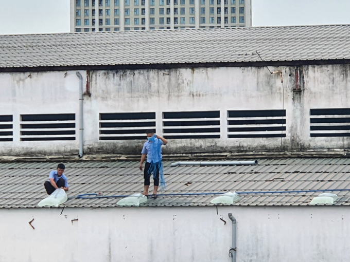 Nhân viên Cảng cá Quy Nhơn (Bình Định) dùng bao nilon đựng nước dằn mái nhà để bão Noru không thổi bay tôn