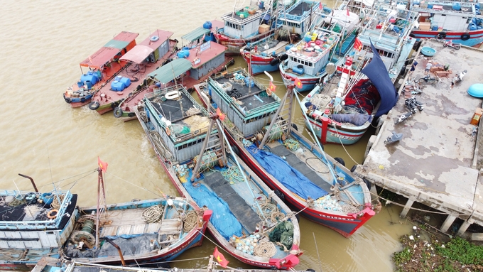 Nhiều tàu thuyền tránh trú an toàn tại Cảng Hới, phường Quảng Tiến, TP. Sầm Sơn.