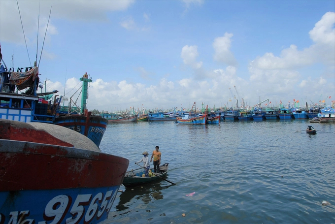 Tàu cá của ngư dân Bình Định cập vào Cảng cá Quy Nhơn để phòng tránh bão.