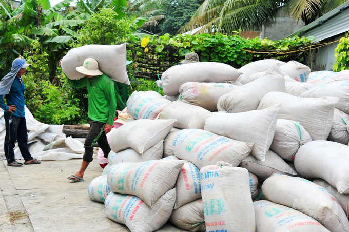 Four years of project implementation has clearly illustrated the importance and effectiveness of the project in sustainable rice production in the Mekong Delta. Photo: Le Hoang Vu.