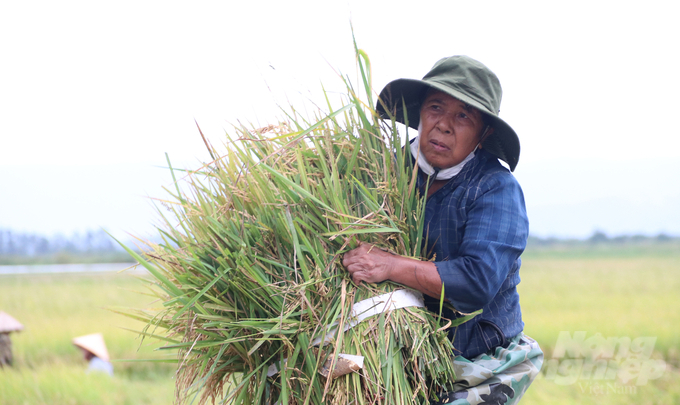 'Nếu hôm nay gia đình không gặt lúa non chạy lũ, không ngày mai hồ thủy lợi Krông Búk Hạ xả lũ nước dâng cao sẽ mất trắng. Qua các phương tiện truyền thông tôi nghe bão nhưng không ngờ mưa nhiều, nước tràn về gây ngập như vậy', bà Mừng nói.