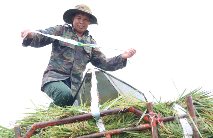 Ông Trần Đức Vuốt (ngụ thôn 9, xã Ea Kly) gia đình có hơn 1ha lúa nhưng bị ngập hết. Để giảm thiệt hại, ông Vuốt đã nhờ hơn 15 người thân, hàng xóm thu hoạch nhưng một buổi chiều chỉ cắt được 500m2.