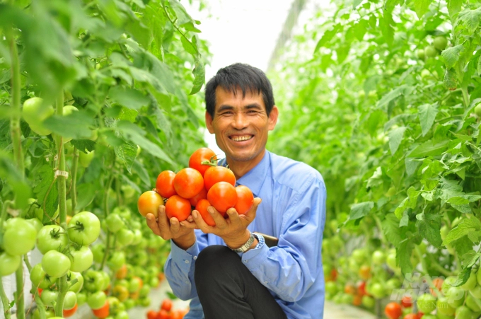 Up to 90% of vegetable and flower varieties in Lam Dong are imported from many countries. Photo: Minh Hau.