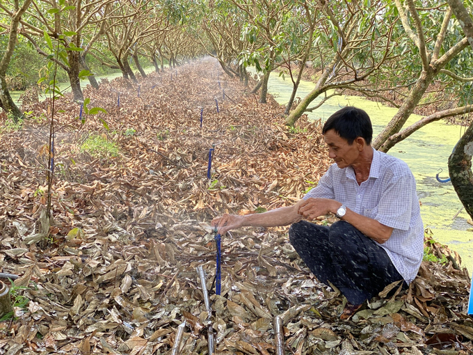 Planting area codes helps agricultural products with domestic consumption as well as export. Photo: Le Hoang Vu.