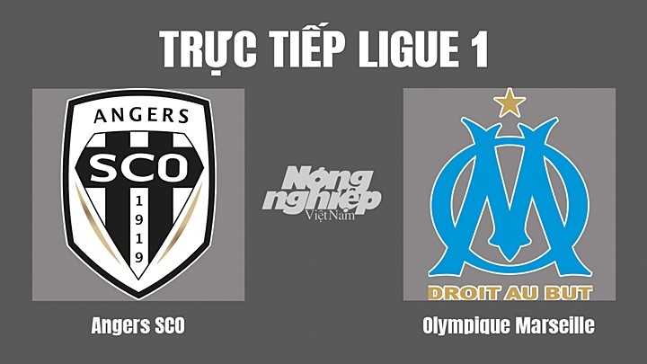 Trực tiếp bóng đá Ligue 1 (VĐQG Pháp) 2022/23 giữa Angers SCO vs Marseille hôm nay 1/10/2022