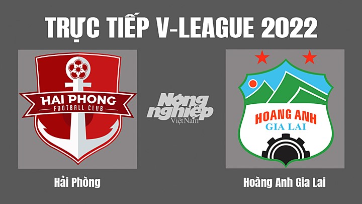 Trực tiếp bóng đá V-League (VĐQG Việt Nam) 2022 giữa Hải Phòng vs HAGL hôm nay 30/9/2022