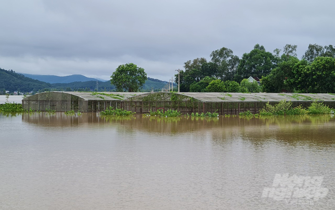 Nhiều mô hình nông dân, nhiều trang trại, ao cá thiệt hại nặng do hoàn lưu bão số 4. Ảnh: Việt Khánh.