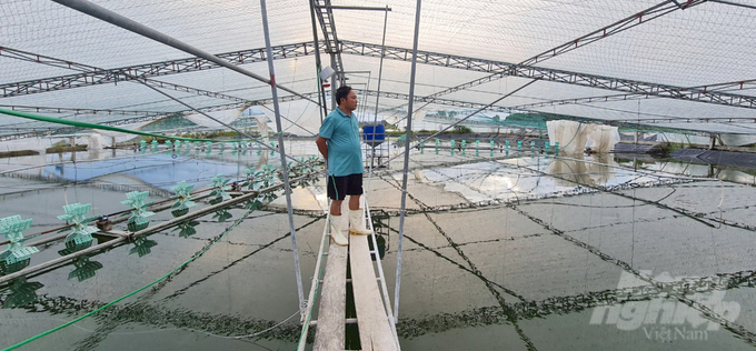 Nghề nuôi trồng thủy sản, đặc biệt là nuôi tôm tại đất biển Nghệ An chịu thiệt hại nặng nề trong đợt thiên tai lần này. Ảnh: VK.