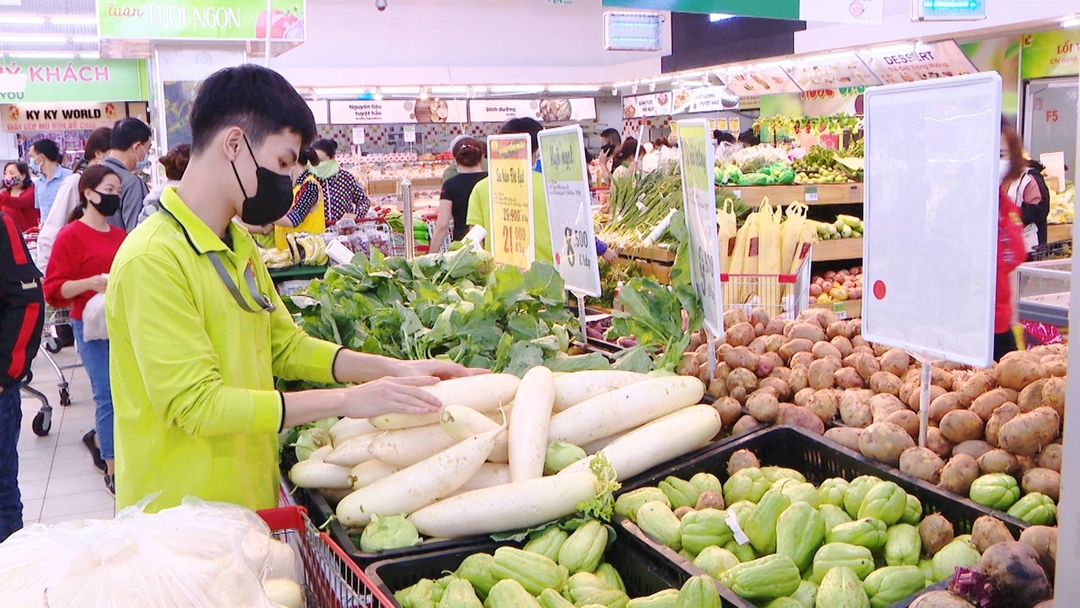 Người dân tại Hà Nội, TP.HCM và một số thành phố lớn ngày càng quan tâm tới thực phẩm sạch.