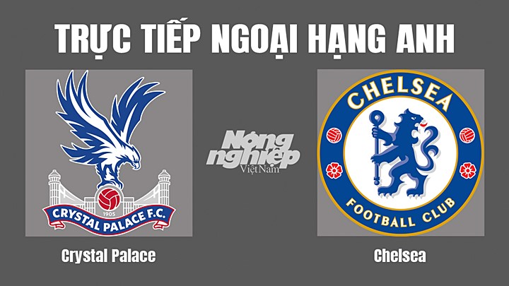 Trực tiếp bóng đá Ngoại hạng Anh giữa Crystal Palace vs Chelsea hôm nay 1/10/2022