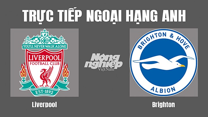 Trực tiếp bóng đá Ngoại hạng Anh giữa Liverpool vs Brighton hôm nay 1/10/2022