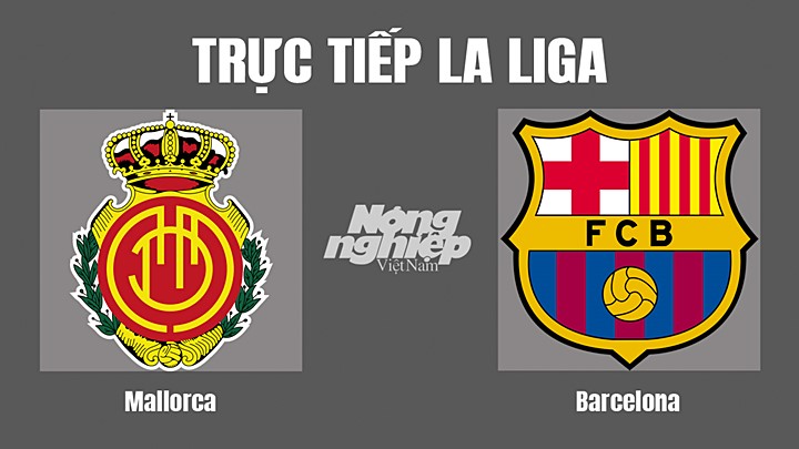 Trực tiếp bóng đá La Liga 2022/23 giữa Mallorca vs Barcelona hôm nay 2/10/2022