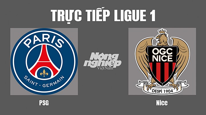 Trực tiếp bóng đá Ligue 1 (VĐQG Pháp) 2022/23 giữa PSG vs Nice hôm nay 2/10/2022