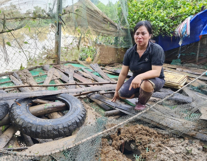 Một hộ chăn nuôi tại xã Quỳnh Trang (thị xã Hoàng Mai) nghẹn ngào vì trang trại chăn nuôi bị thiệt hại nặng do ngập lụt. Ảnh: Việt Khánh.