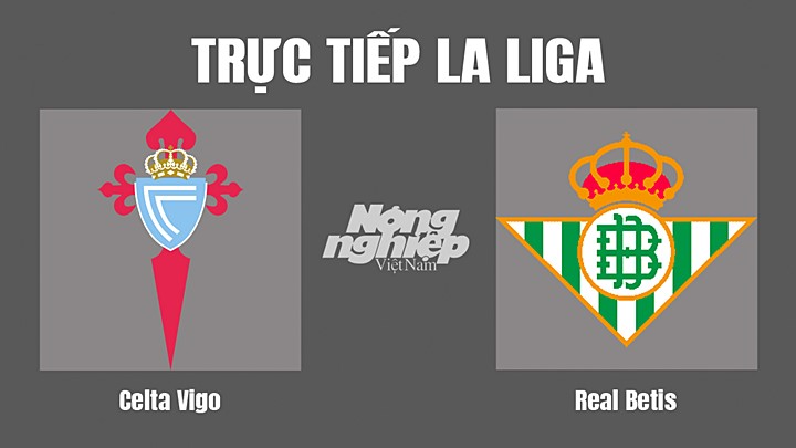 Trực tiếp bóng đá La Liga 2022/23 giữa Celta Vigo vs Real Betis hôm nay 2/10/2022