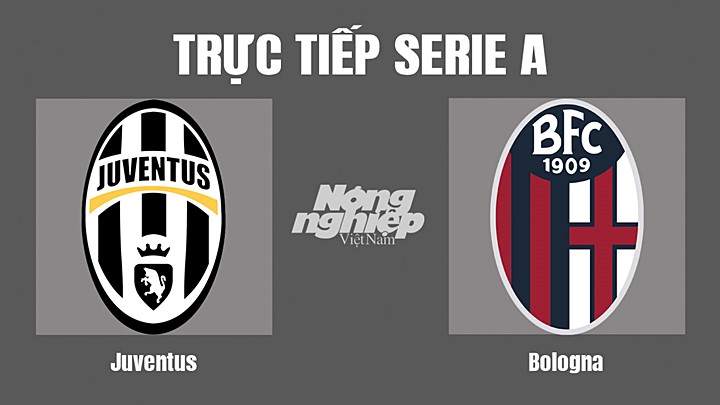 Trực tiếp bóng đá Serie A (VĐQG Italia) 2022/23 giữa Juventus vs Bologna hôm nay 3/10