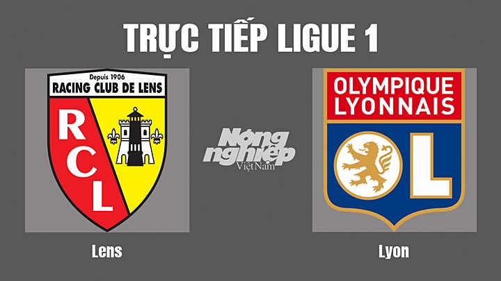 Trực tiếp bóng đá Ligue 1 (VĐQG Pháp) 2022/23 giữa Lens vs Lyon hôm nay 3/10/2022