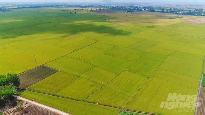 Ngân hàng Thế giới đưa ra báo cáo về 'Hướng tới chuyển đổi nông nghiệp xanh ở Việt Nam: Chuyển sang mô hình lúa gạo carbon thấp' truyền tải thông điệp hướng tới sản xuất lúa gạo 'xanh'. Ảnh: Kim Anh.