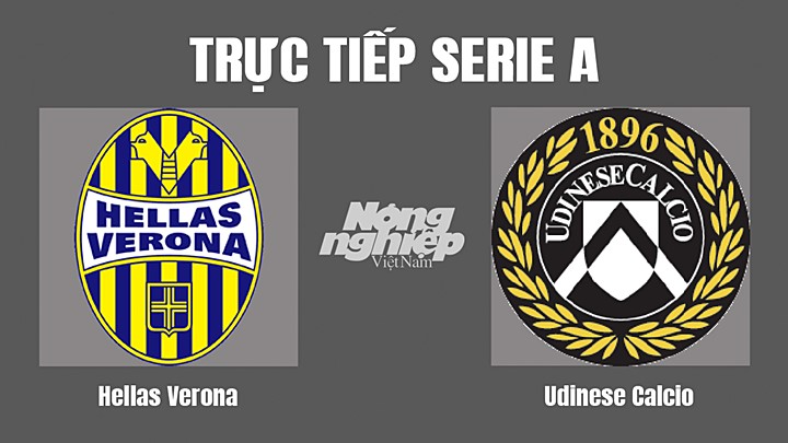 Trực tiếp bóng đá Serie A (VĐQG Italia) 2022/23 giữa Hellas Verona vs Udinese Calcio hôm nay 4/10