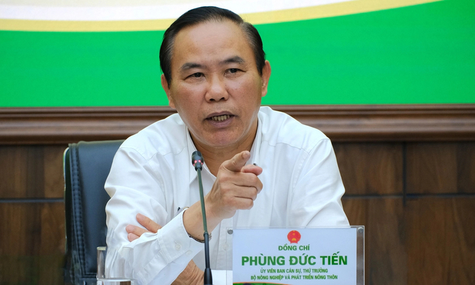 Deputy Minister Phung Duc Tien pointed out opportunities and challenges in the current domestic and international context.