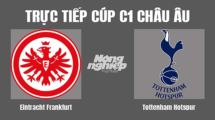 Trực tiếp bóng đá Cúp C1 Châu Âu giữa Eintracht Frankfurt vs Tottenham hôm nay 5/10/2022