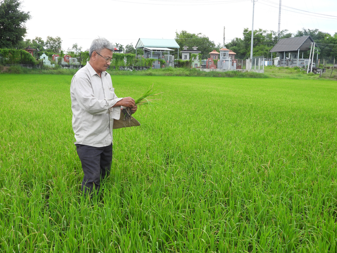 Người dân địa phương kỳ vọng, sau khi hoàn thành và đi vào hoạt động, trạm bơm sẽ phát huy công năng, giúp bà con ổn định sản xuất, nâng cao thu nhập. Ảnh: Hồng Thủy.