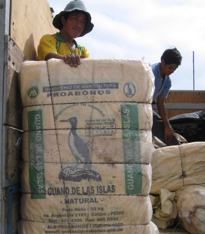 Phân bón hóa học tăng cao khiến chính phủ Peru phải tận thu nguồn phân chim từ các đảo để phục vụ sản xuất. Ảnh: Getty