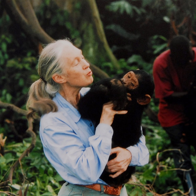 Bà Jane Goodall cho rằng mặc dù đã nhìn thấy một số thay đổi tốt hơn trong những thập kỷ gần đây, nhưng thế giới cần hành động nhanh hơn để bảo vệ môi trường, chống biến đổi khí hậu. Ảnh: Biography