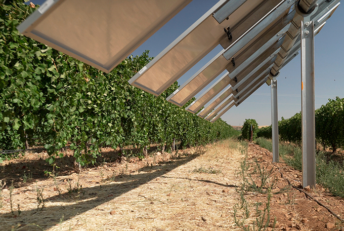 Solar panels with advanced tracking system get more PV bang for the agrivoltaics buck. Photo: Iberdrola