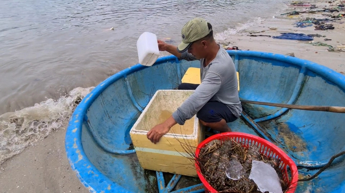 To limit environmental incidents and diseases, farmers need to comply with the planning, protect the environment and collect leftovers and domestic waste for treatment. Photo: TTh.