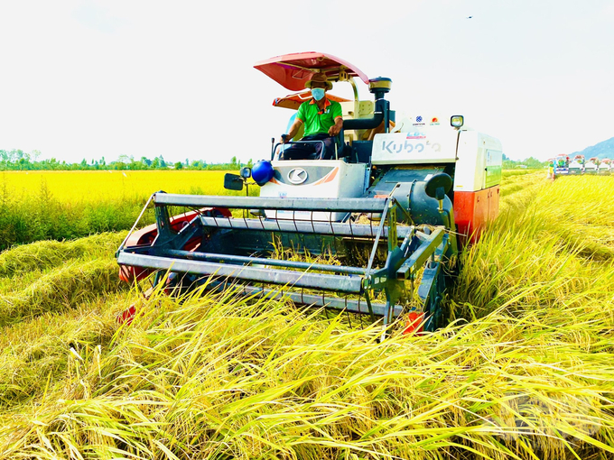 Trong 9 tháng đầu năm 2022 ngành nông nghiệp TP Cần Thơ tăng trưởng 3,29%. Ảnh: Lê Hoàng Vũ.