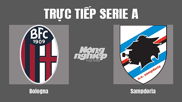 Trực tiếp bóng đá Serie A (VĐQG Italia) 2022/23 giữa Bologna vs Sampdoria hôm nay 9/10