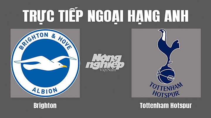 Trực tiếp bóng đá Ngoại hạng Anh giữa Brighton vs Tottenham hôm nay 8/10/2022