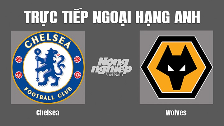 Trực tiếp bóng đá Ngoại hạng Anh giữa Chelsea vs Wolves hôm nay 8/10/2022