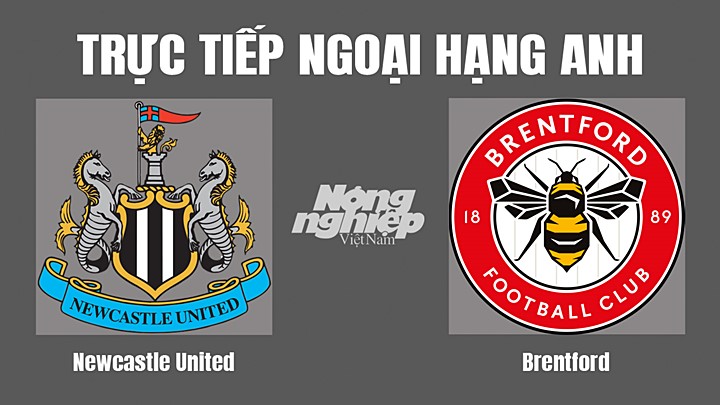 Trực tiếp bóng đá Ngoại hạng Anh giữa Newcastle United vs Brentford hôm nay 8/10/2022