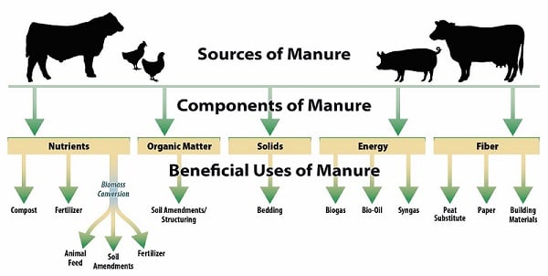 Phân động vật là nguồn dinh dưỡng cây trồng quan trọng và bền vững. Đồ họa: EPA