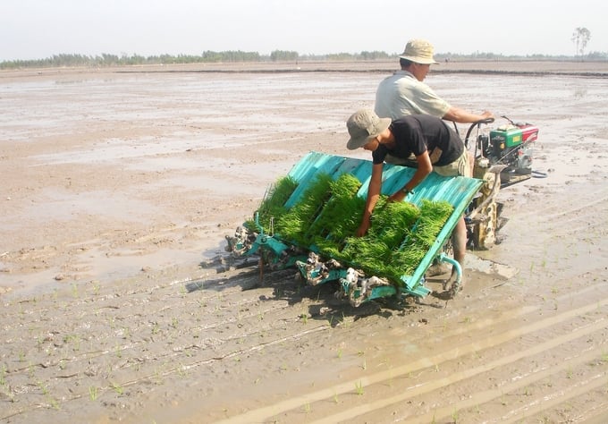 Nông dân ĐBSCL đã có sự chuyển biến rõ rệt trong canh tác lúa nhờ tác động của Dự án VnSAT. Ảnh: Trung Chánh.