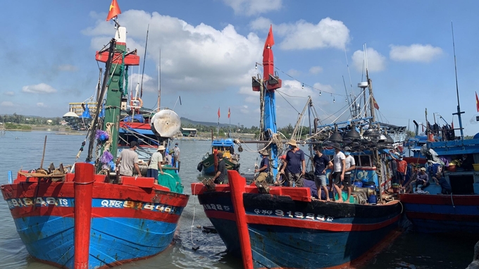 The number of fishing vessels nationwide has decreased by at least 20,000 units over the past five years. Photo: Bao Thang.