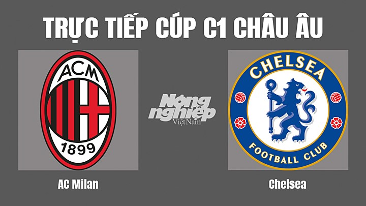 Trực tiếp bóng đá Cúp C1 Châu Âu giữa AC Milan vs Chelsea hôm nay 12/10/2022