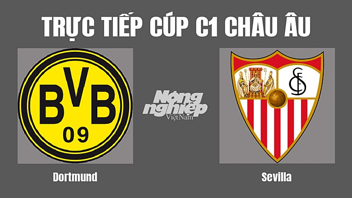 Trực tiếp bóng đá Cúp C1 Châu Âu giữa Dortmund vs Sevilla hôm nay 12/10/2022
