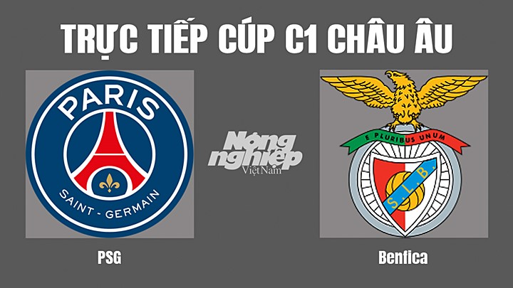 Trực tiếp bóng đá Cúp C1 Châu Âu giữa PSG vs Benfica hôm nay 12/10/2022